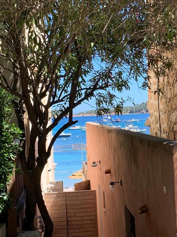 La Corse Les Pieds Dans L'Eau Pinarellu Exterior foto